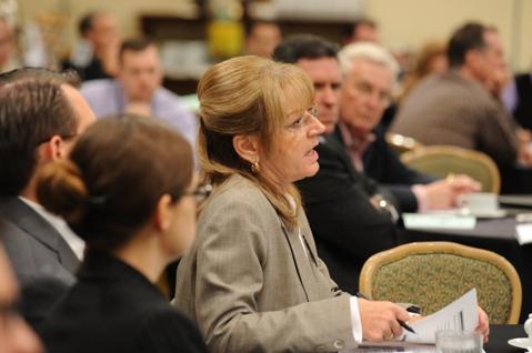 Representative Karen Fann